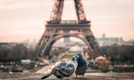 Odkryj Paryż – Francja oferuje mnóstwo atrakcji