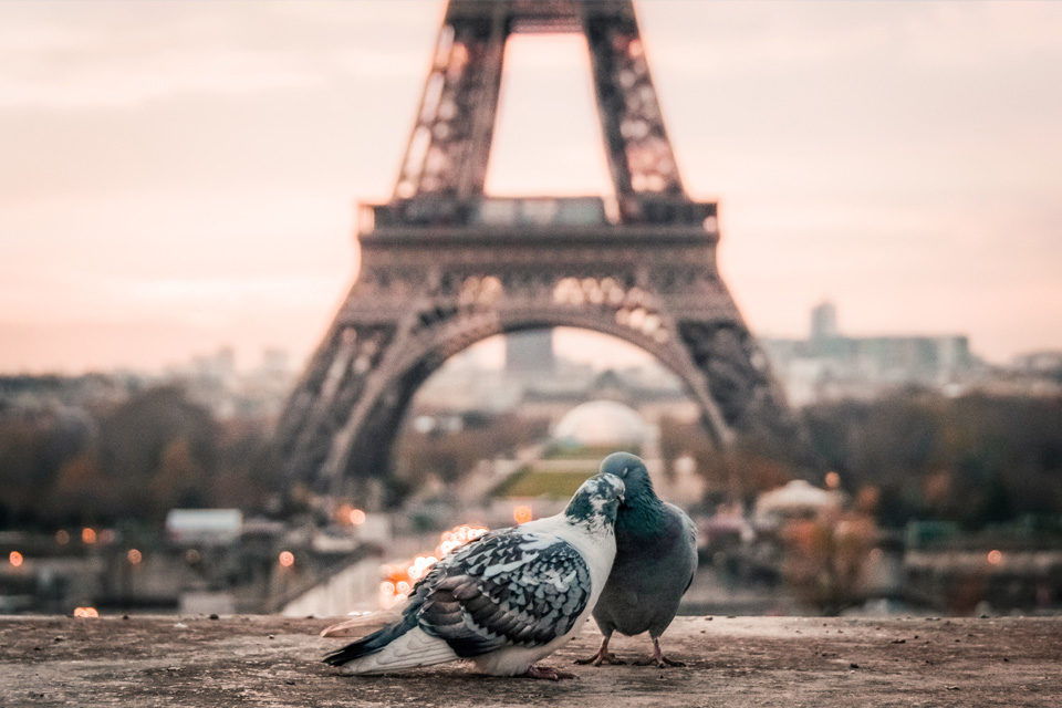 Odkryj Paryż – Francja oferuje mnóstwo atrakcji