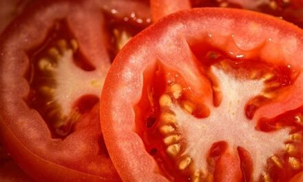 Jemy smacznie i zdrowo – przepis na pomidory po prowansalsku