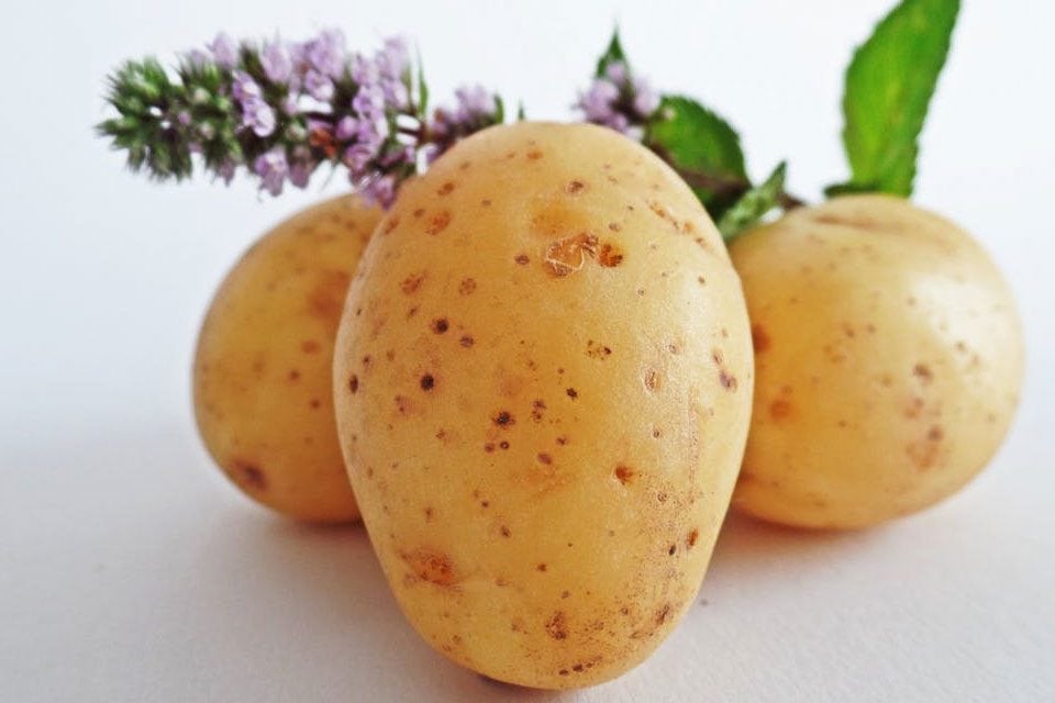 Ziemniak – czy może stać się cennym kosmetykiem?